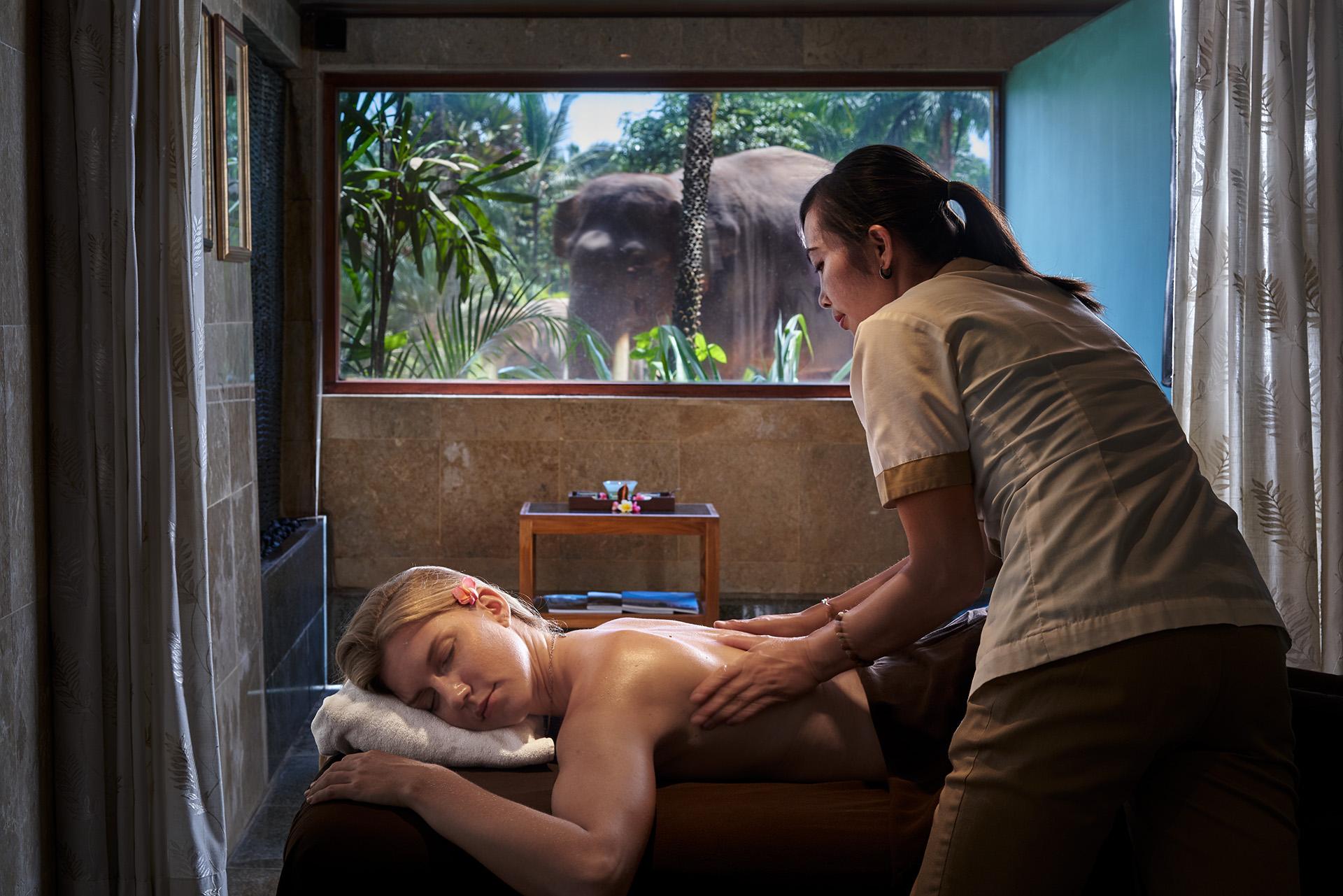 Mason Elephant Lodge Убуд Экстерьер фото