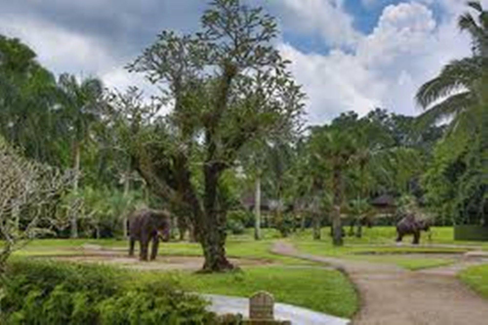 Mason Elephant Lodge Убуд Экстерьер фото