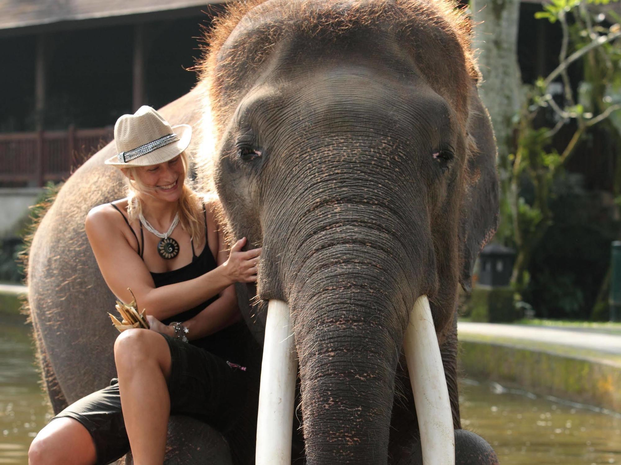 Mason Elephant Lodge Убуд Экстерьер фото